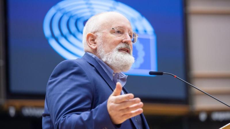 timmermans