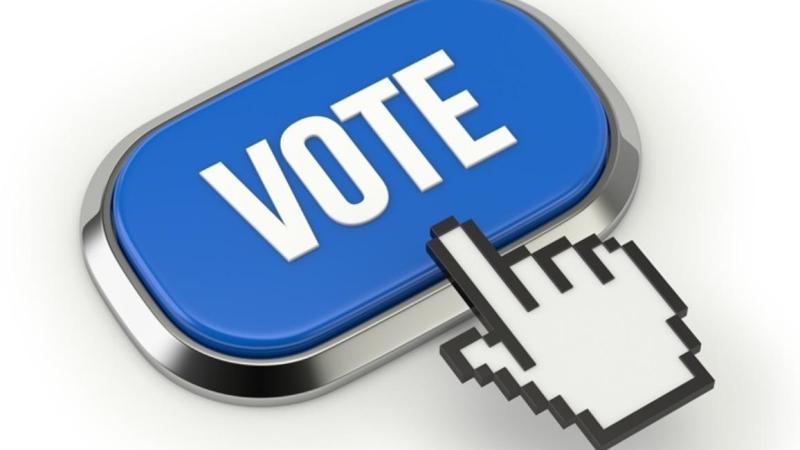 vote