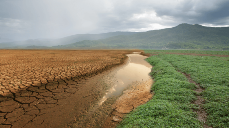 cambioclimatico