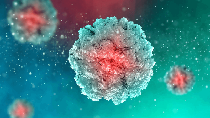 Eliminación cáncer