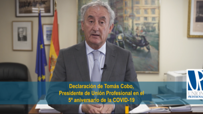cobo_tomas-declaracion