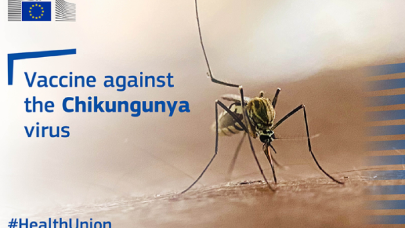 Chikunguña