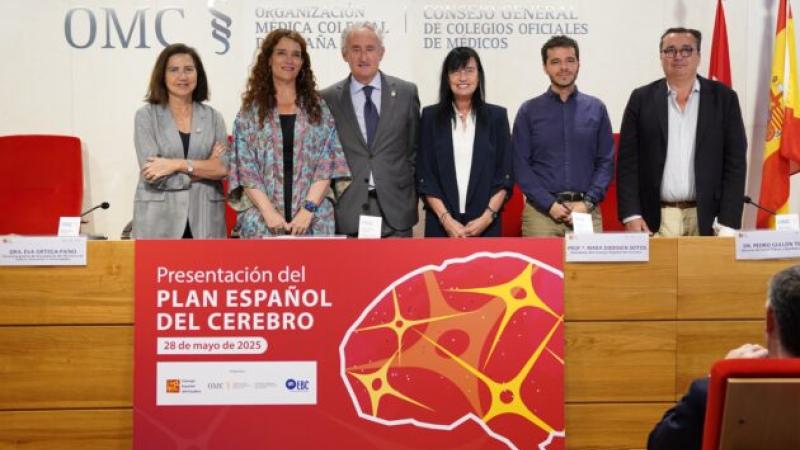 posado_plan_espanol_cerebro
