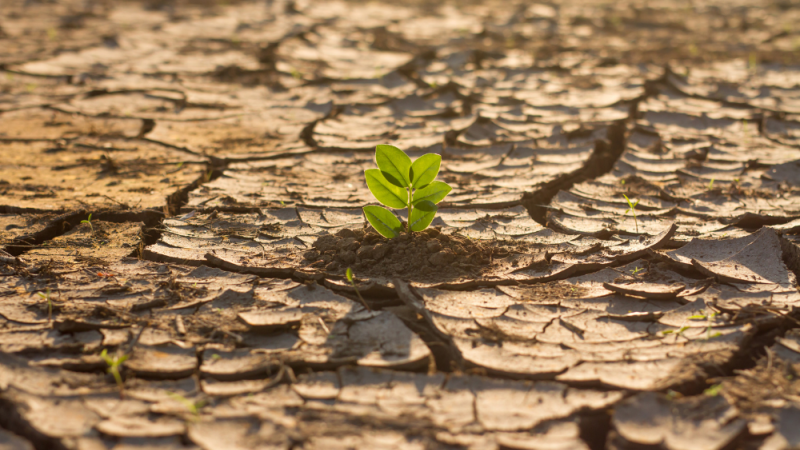 cambio-climatico