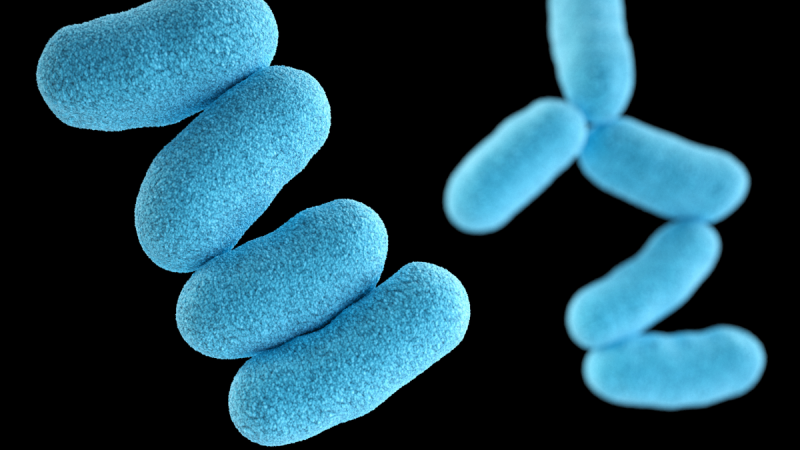 Difteria