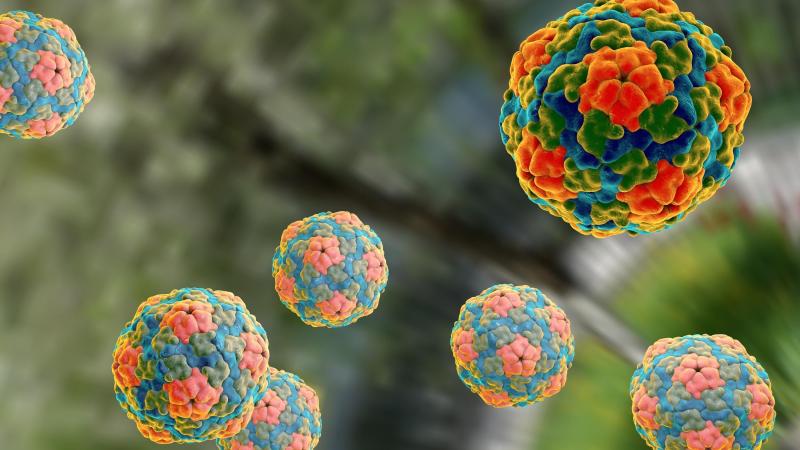 Hepatitis A