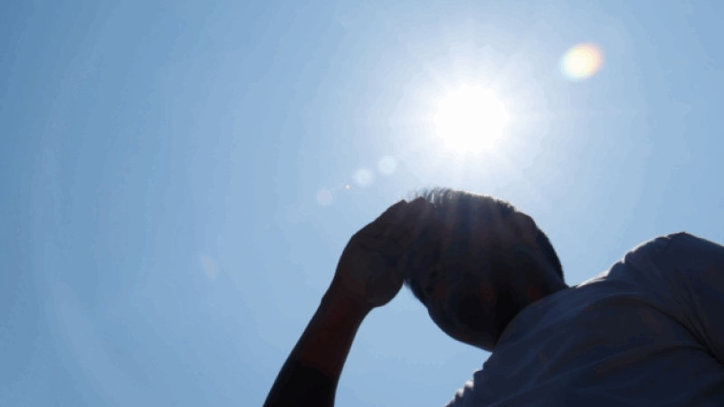Cambio climático