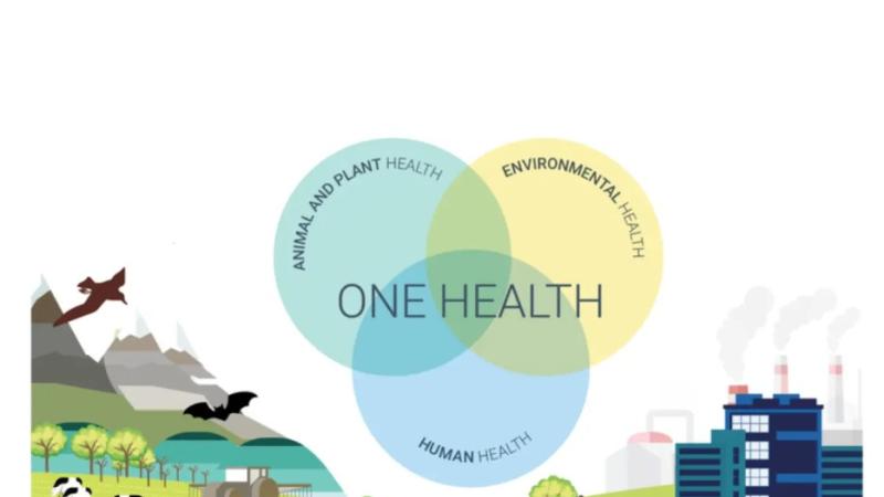 One Health