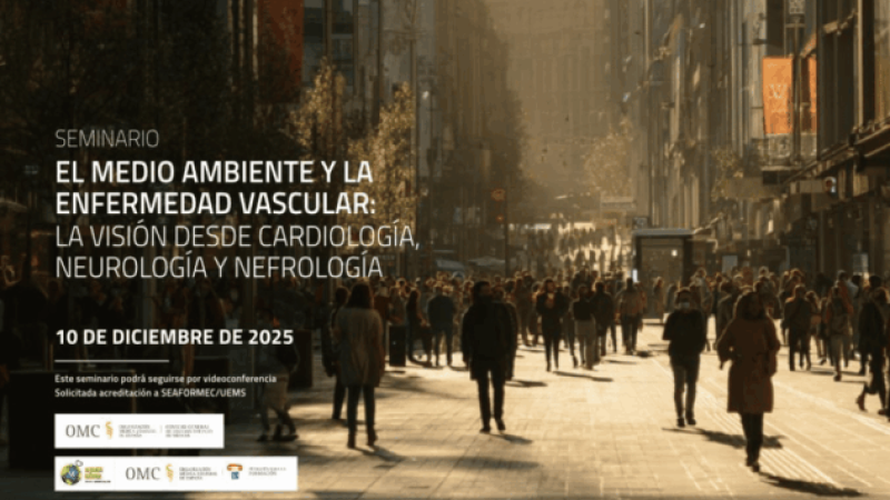 seminario-enfvascu-ffomc