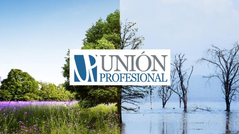 union_profesional_crisis_climatica