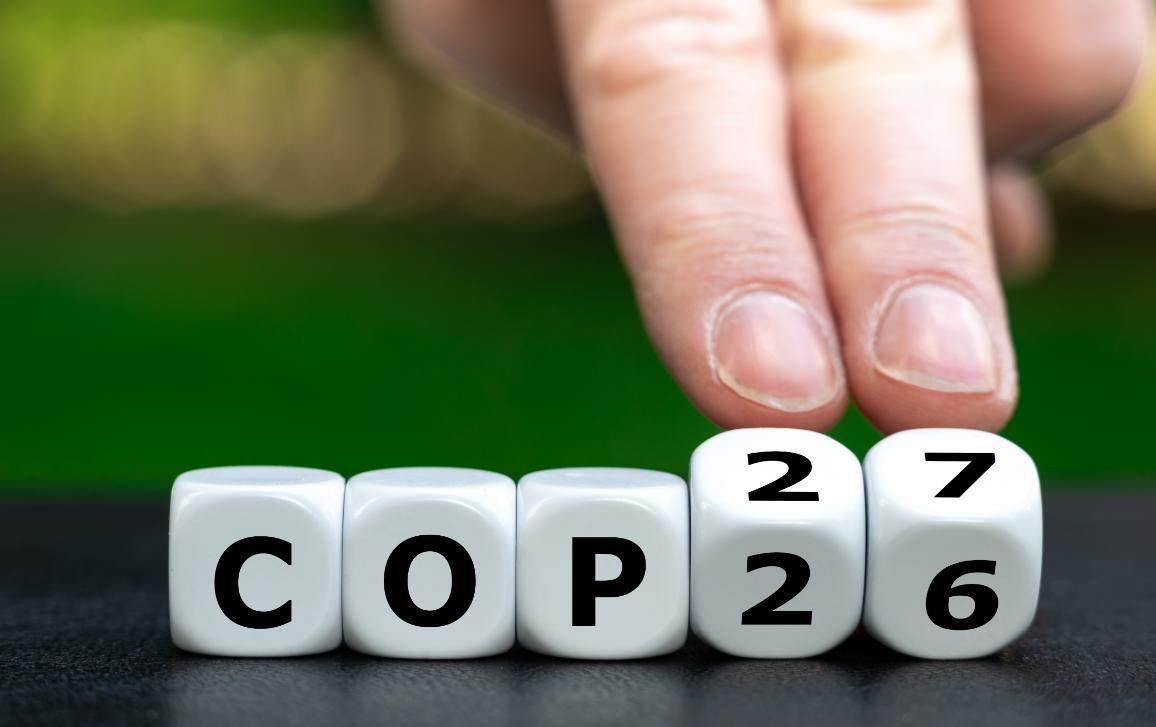 cop 27