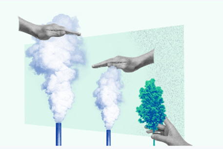 cop 28