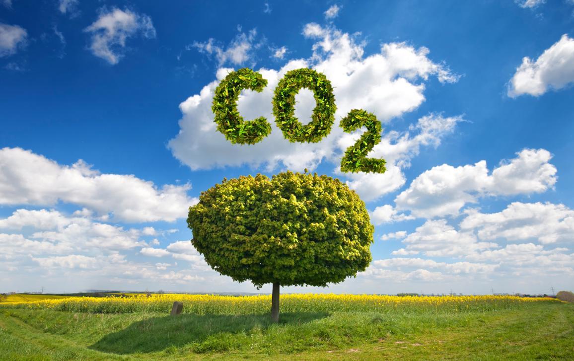 net zero