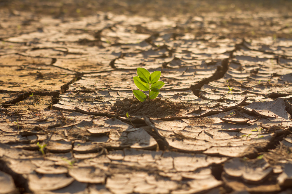 cambio-climatico