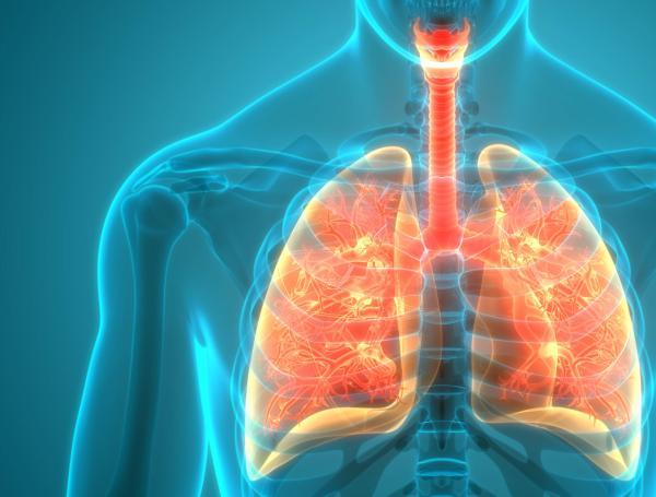 Pulmones