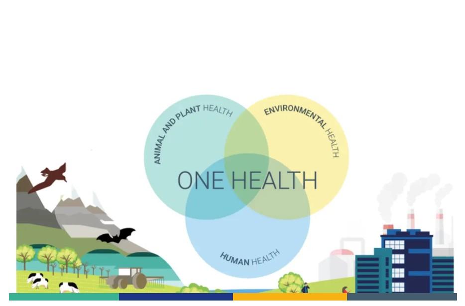 One Health