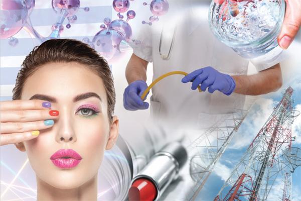 Scientific Committees