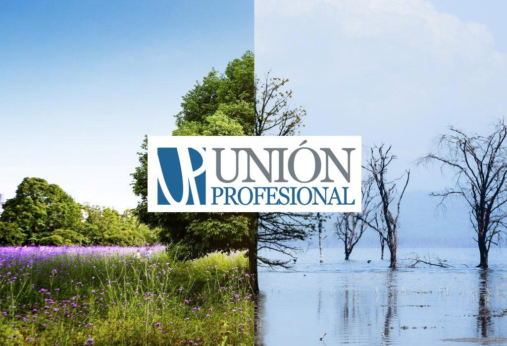 union_profesional_crisis_climatica
