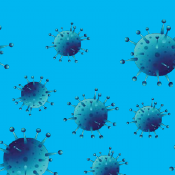 Alimentación Sin Bulos en el COVID-19