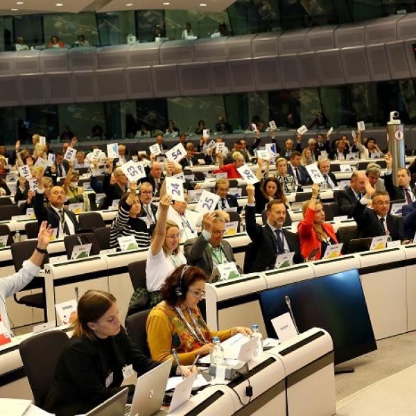 comité europeo de las regiones