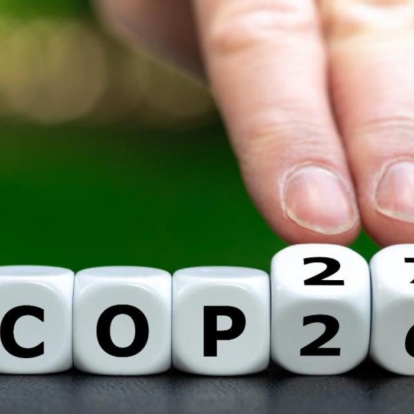 cop 27