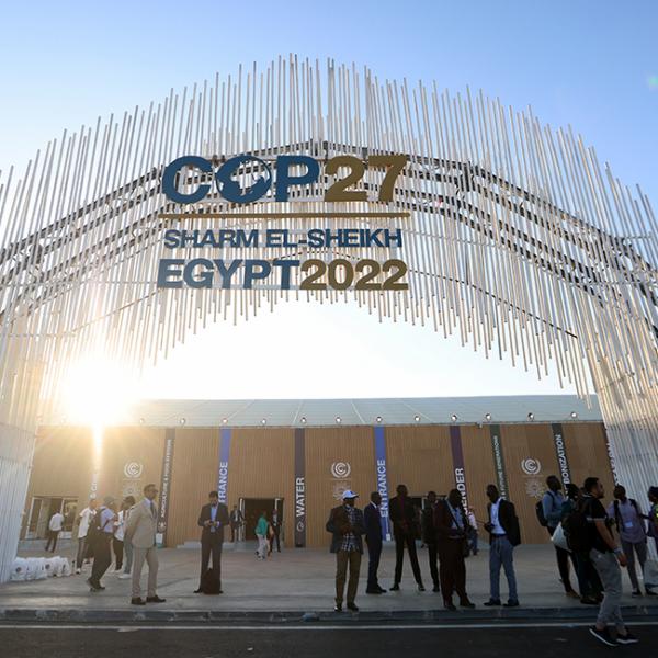 cop 27