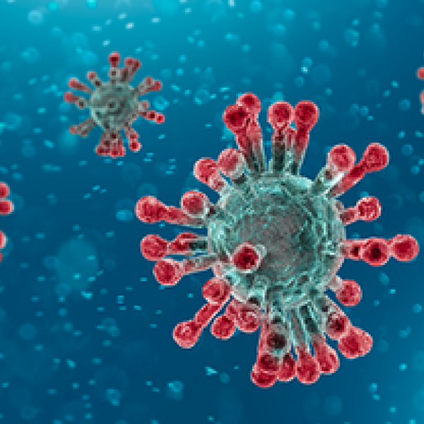coronavirus