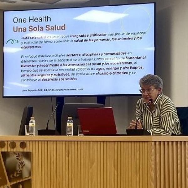 com_castellon_one_health
