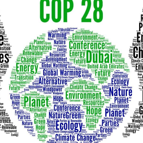 cop 28