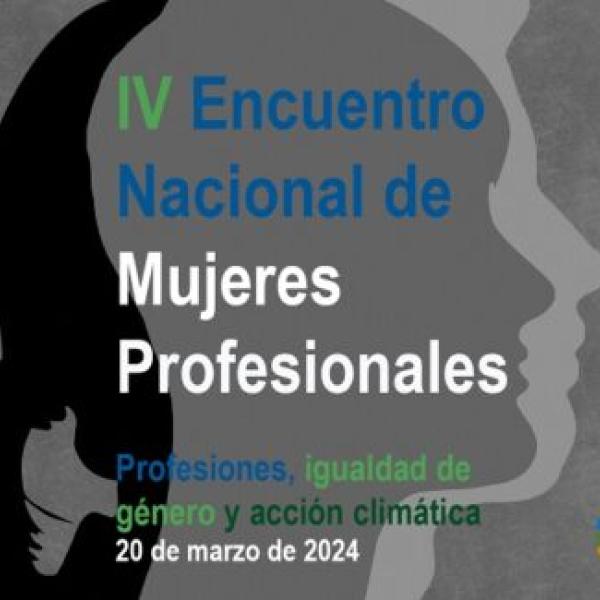 mujeres_profesionales_encuentro