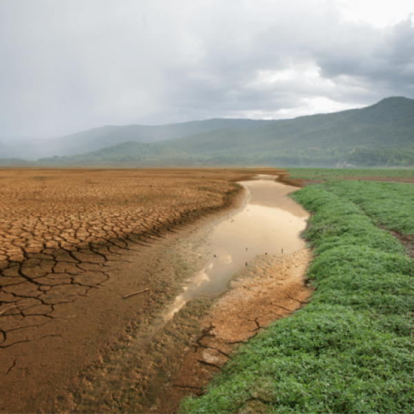 cambioclimatico