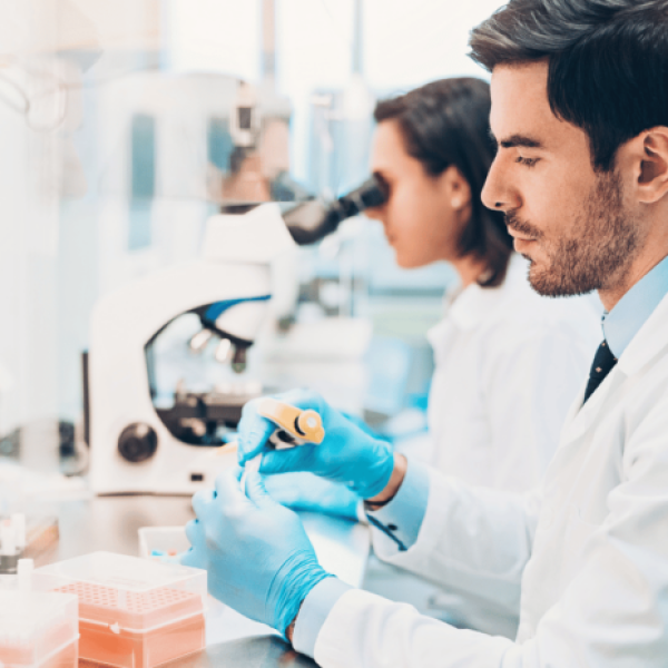 investigacion