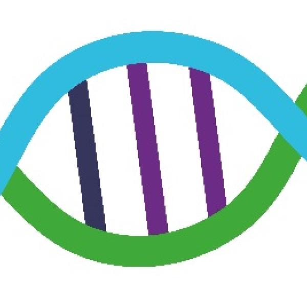 ADN colores