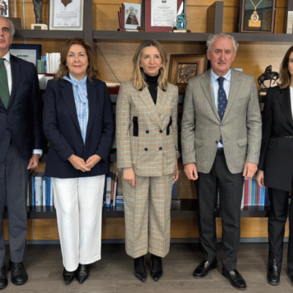 omc-senado