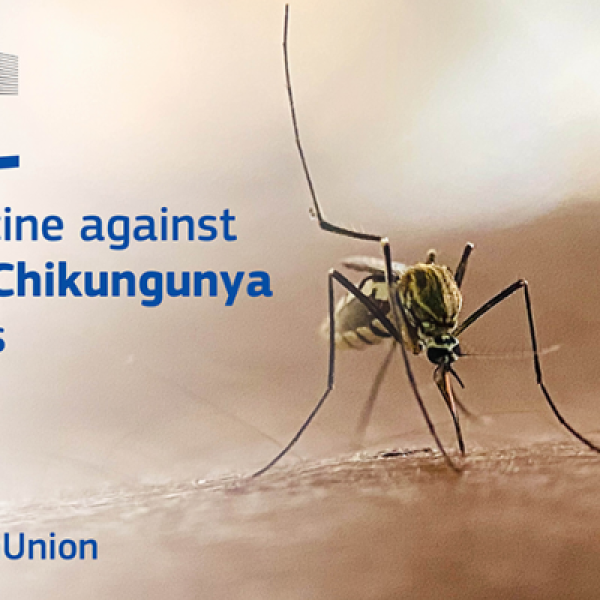Chikunguña