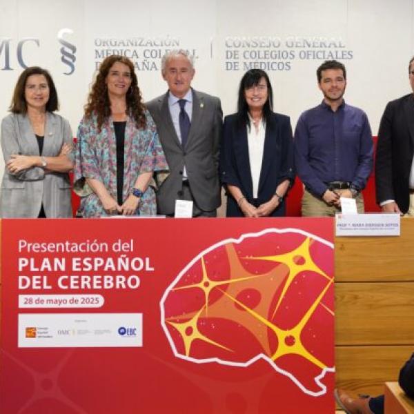 posado_plan_espanol_cerebro