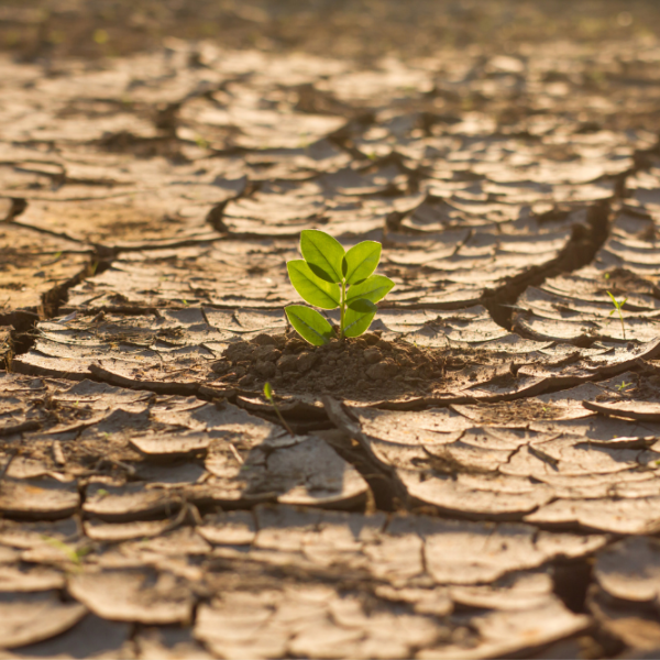 cambio-climatico