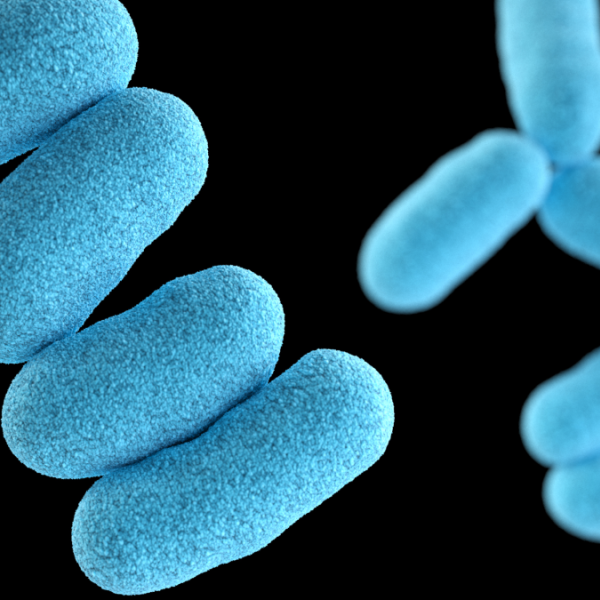 Difteria