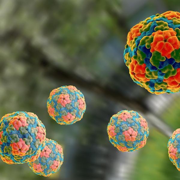 Hepatitis A