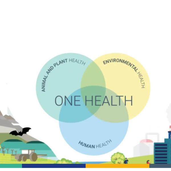 One Health