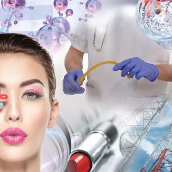 Scientific Committees