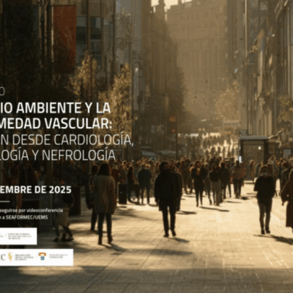 seminario-enfvascu-ffomc