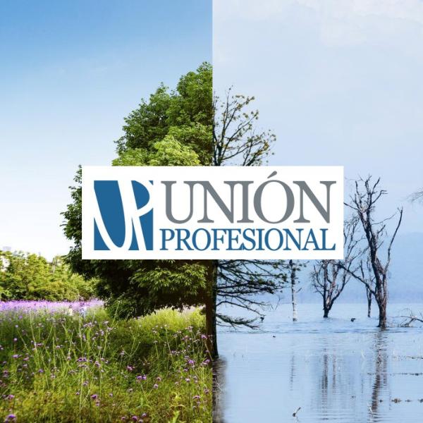 union_profesional_crisis_climatica